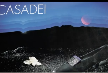 Casadei campaign project